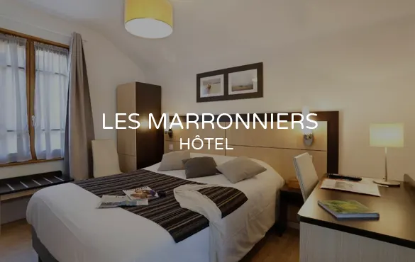 Hôtel Les Marronniers